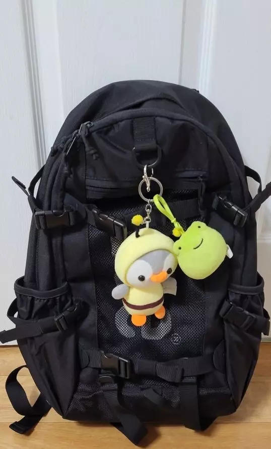 올해 중학생되는 딸이 직접 선택한 가방인데  너무 맘에 들어하네요~