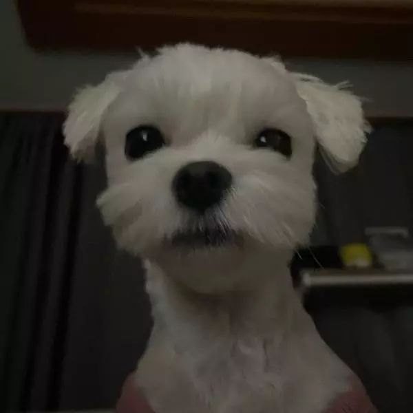 자주 입고 다닐 것 같네요!! 그냥 기본 집업이라 만족합니다ㅏㅏ