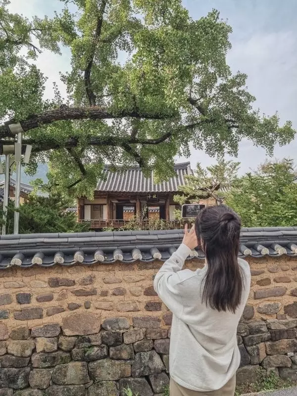 오트밀 색으로 좋아요 잘 입고 있어요~어디든지 다 잘어울려요~