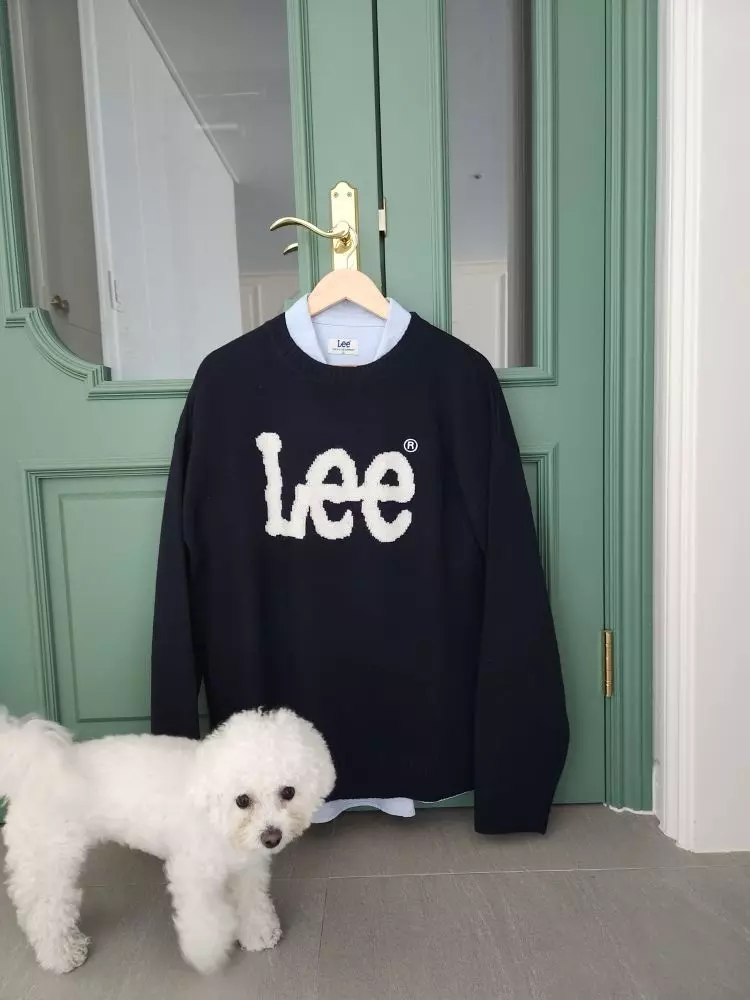 디자인도 깔끔하고 리 셔츠가 마침 있어 같이 코디 해 입으니 예쁘네요