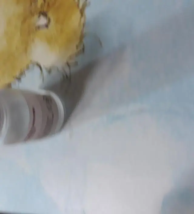 갈락토미 나이아신 에센스 50ml
