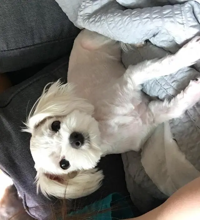 갈락토미 나이아신 에센스 50ml
