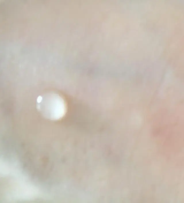 갈락토미 나이아신 에센스 50ml
