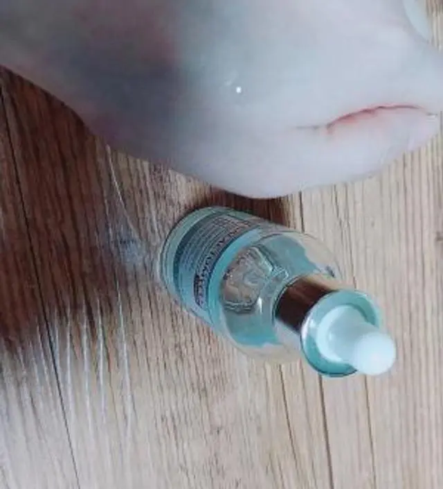 갈락토미 나이아신 에센스 50ml
