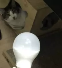 좋아요 잘 사용합니다 감사
