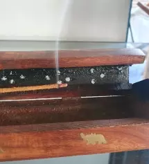 집안 환기시키면서 하나 사용하면 너무 좋아요
