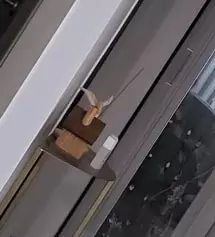 신발장에 매일켜두는 인센스.
