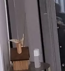 좋아요ㅡ 신발장에 매일 캬두어요.
