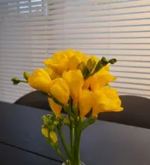 향기가 아주 좋아요 잘 사용중입니다
