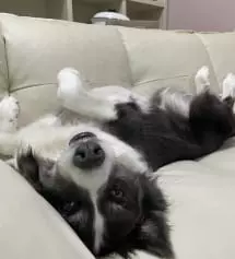 향기 너무 너무 좋아요
