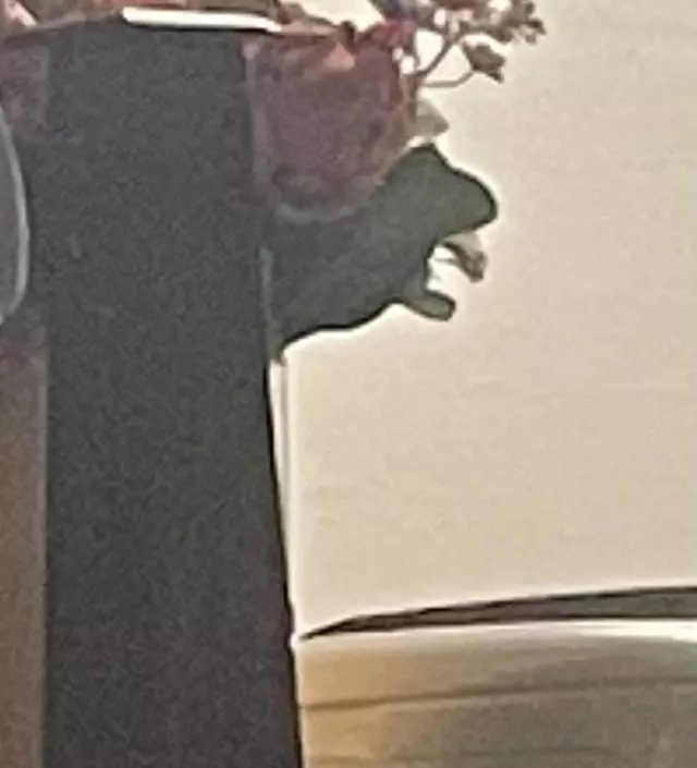 배송 빨라서 좋아요 향도 좋고
