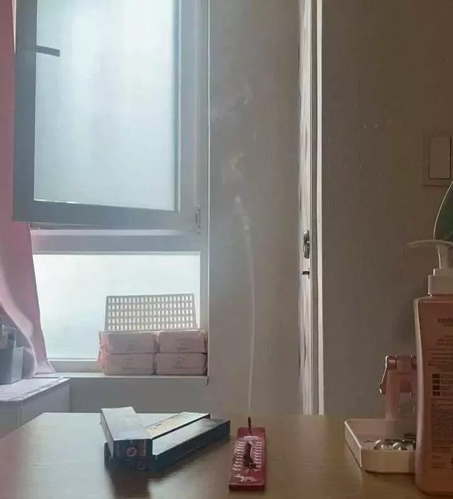 인센스 관심많았는데 강아지들 때문에 고민하고 있었는데 우연히 나그참파 라방보면서 