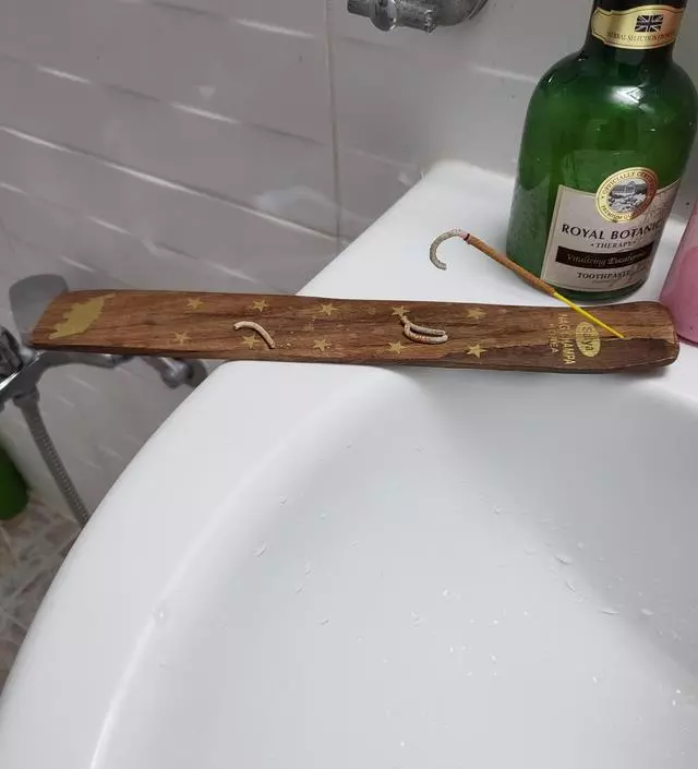 강아지와 함께 살다보니 습한 날이나 비오는 날엔 아무래도 인센스 스틱하나 켜주면 향