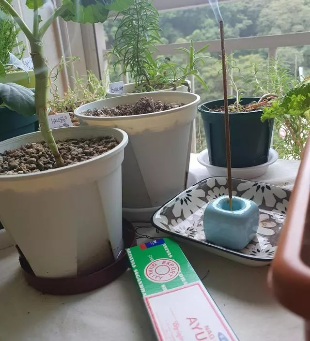 기분 전환템 나그참파 인센스 넘 좋아요??
