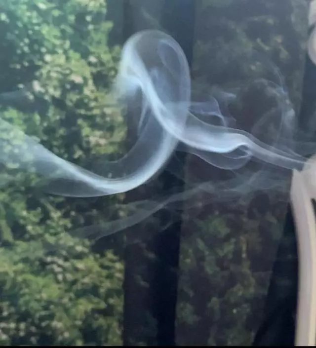 돌아돌아 다시 나그참파입니다 ㅎㅎ 향도 풍부하고 좋아요! 여름에 꿉꿉한 냄새가 싫을