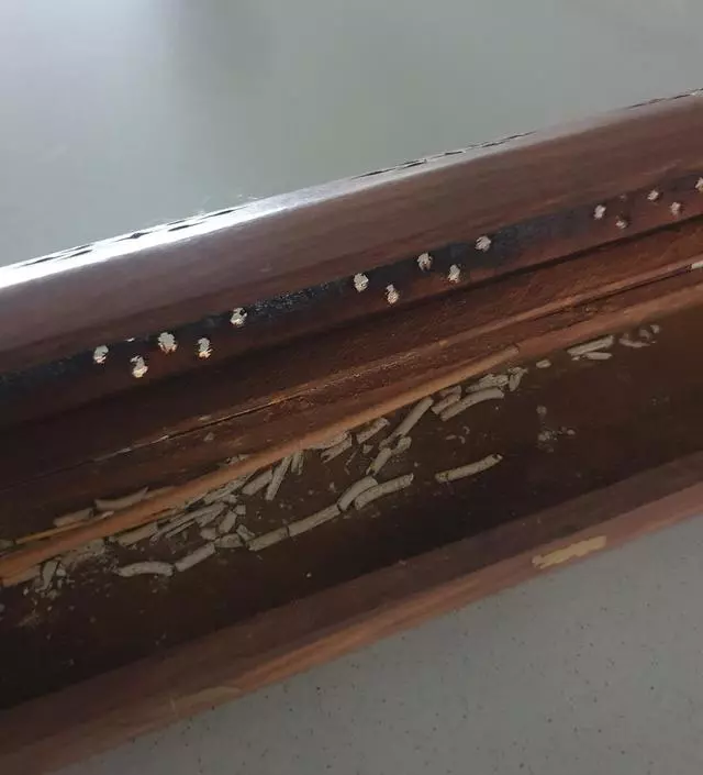 요즘 거의 매일 하루에 하나씩 사용중이에요
