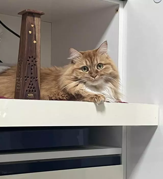 향이 넘 좋아요 이향이 최고입니당!!!
