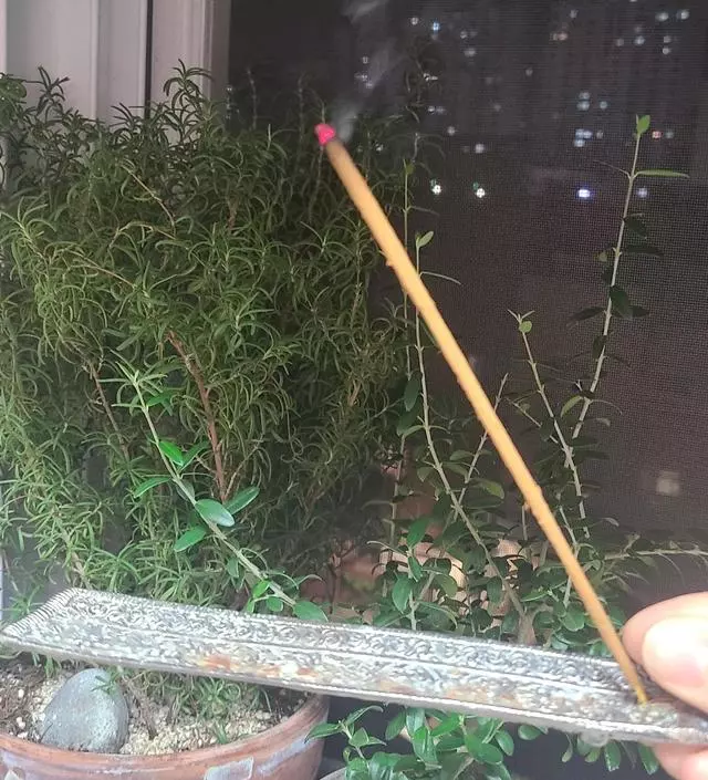 나그참파 라이브 방송으로 저렴하게 샀어요 나그참파는 매번 여기서 재구매합니다. 다양