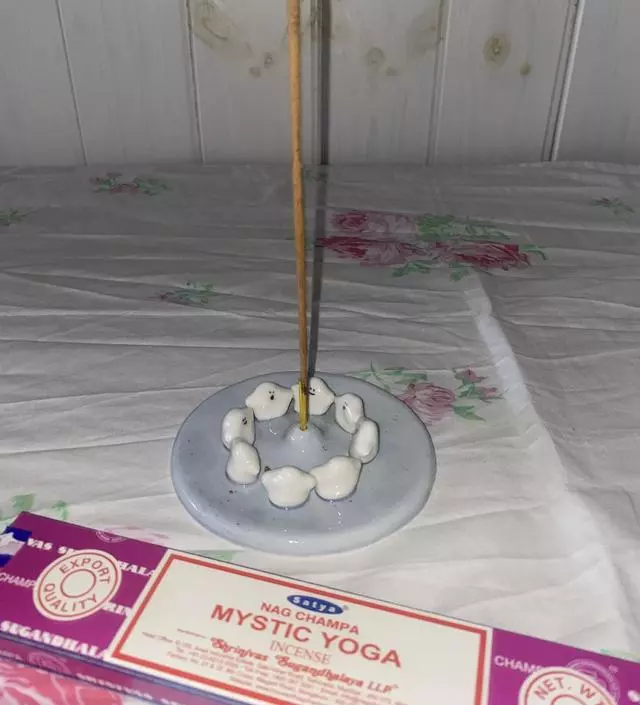 인센스 태우는 거 좋아하는 동생 사줬는데 동생이 향 너무 좋아해요 ㅎㅎ
