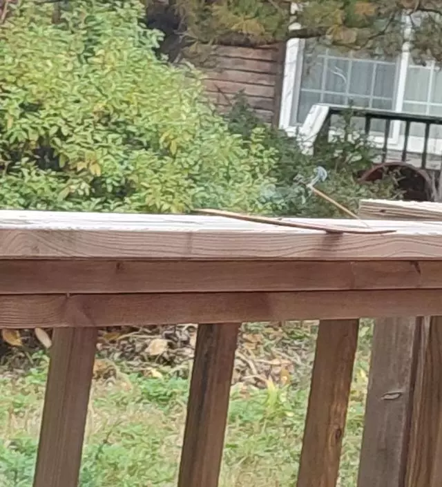 벌써3년차 애정하는 상품입니다 빠른배송 감사합니다
