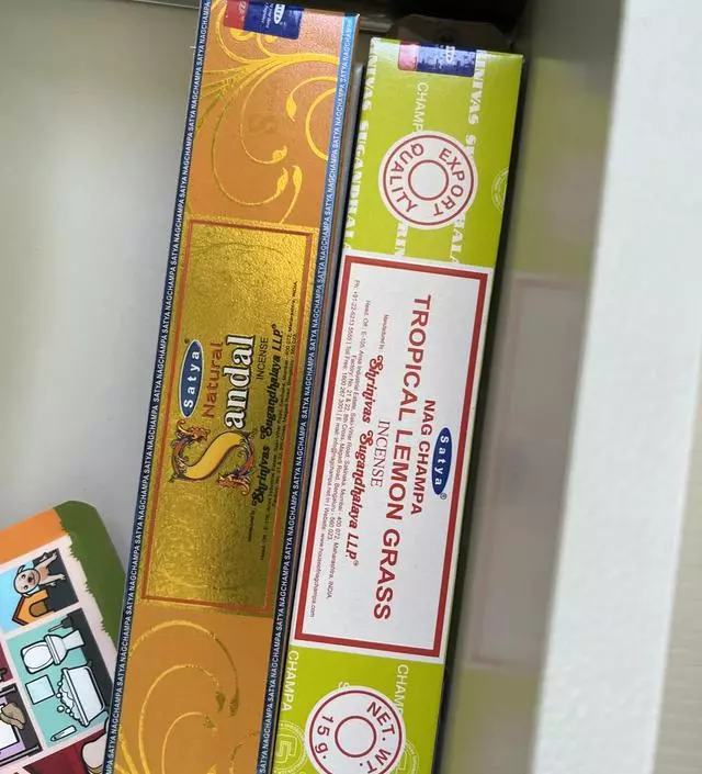 첨 접하는 인세스
