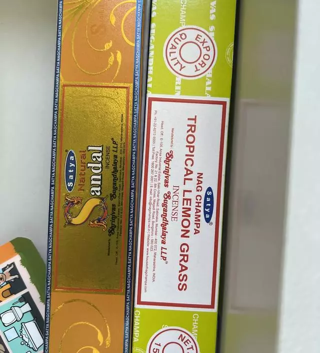 첨 접하는 인세스
