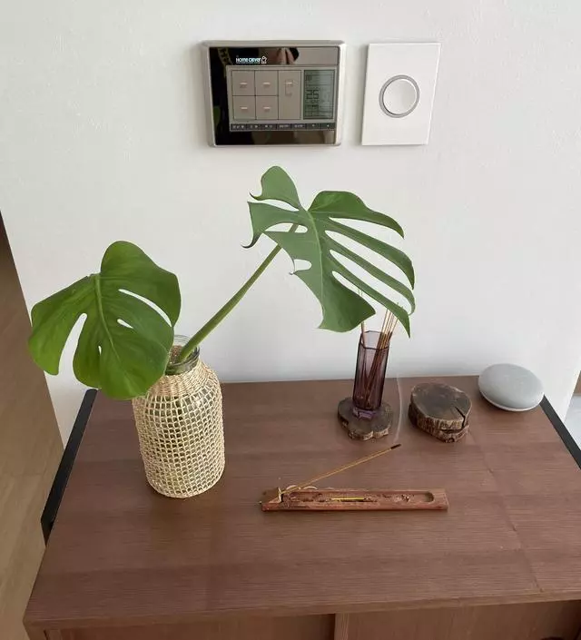 향 리뷰꼼꼼히 읽어 보고 주문했는데
