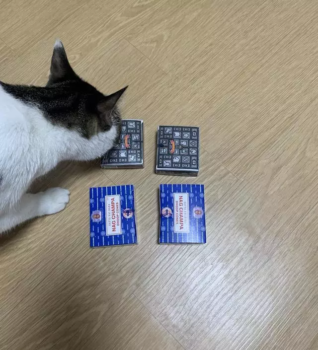 잘받았습니다 많이파세요
