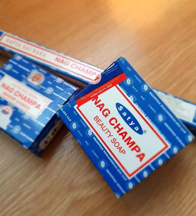 언제나 믿고사는 나그참파
