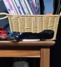 전국에서 제일 저렴하고 젤품질좋음.
