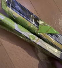 나마스떼~ 요가해야할 것 같은 느낌.
