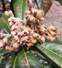 감사합니다 잘쓸께요
