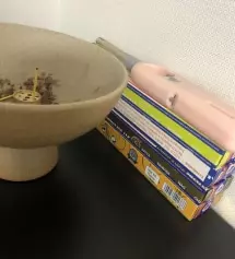 좋은데 겨울도 그렇지만 꽃가루땜에 봄에도 사용하기 여의치 않네요 ㅋ ㅠ
