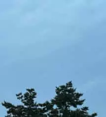 너무 좋아요 감사해용 다음에 또주문할거에요 잠점잘왓음좋겠내요
