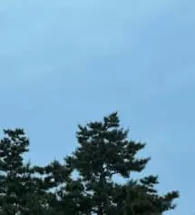 너무 조아요 향도 좋고배송도 빠르고 너무너ㅓ마ㅏ무마조아요 감사야해요
