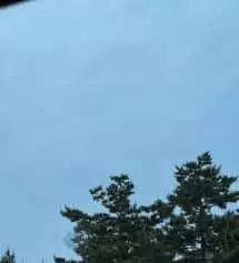 향이 너무조아요 ㅎㅎ 배송도 하루만에와서 개꿀입네다 감삼다
