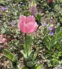 향기가 너무 좋아요~~
