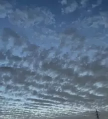 향이너무좋아서 이것저것 시켯습니다!
