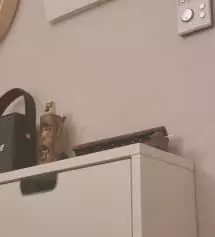 배성빠르거 커무 좋아오
