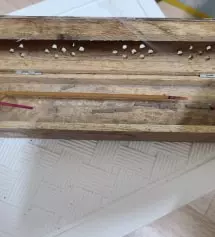 정말오랜만에 다시 피워보니 너무 좋아요
