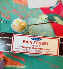 좋아요. 인도에서 맡았던 그 향기.
