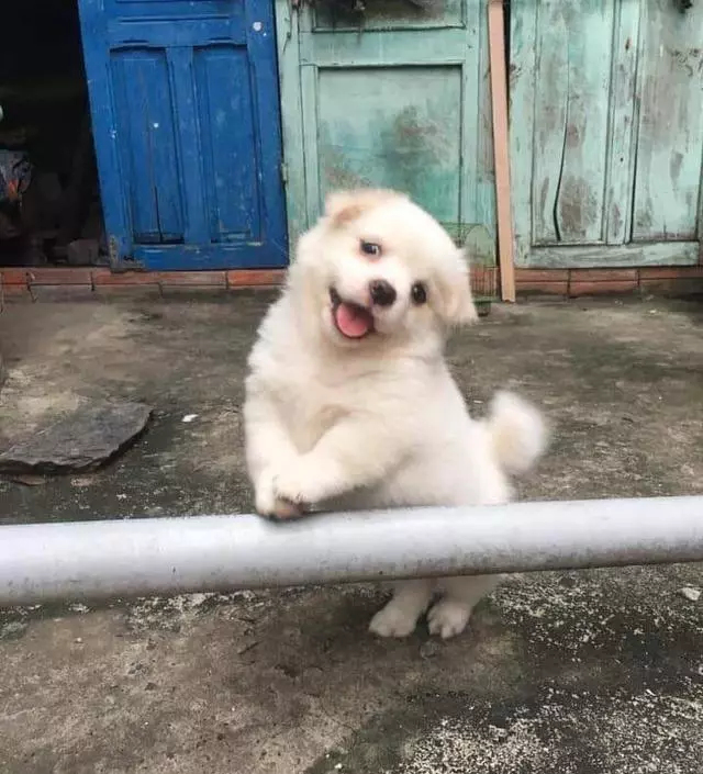 좋은가격에 좋은품질 잘 쓰고 있습니다^^
