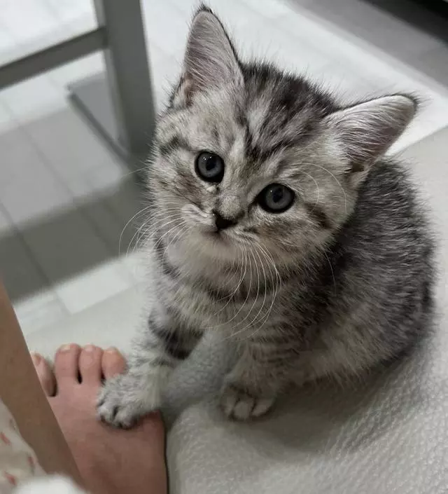 매번 잘 피우고있습니다!
