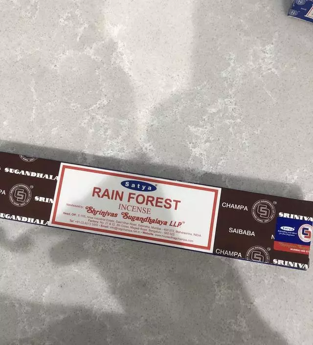 촉촉하 나무숲에서 나오는 향기
