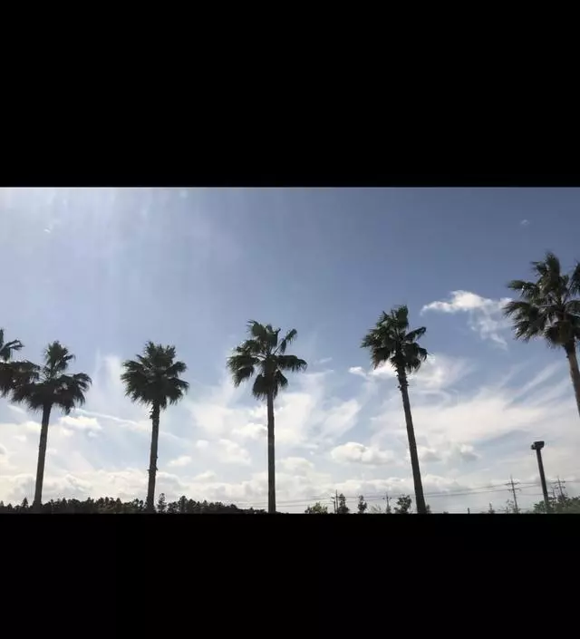 너무 좋아요 향기도 좋고 추천해오
