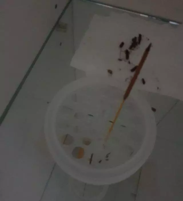 잘 쓰고있어요 나그참파향이 제일 좋아요
